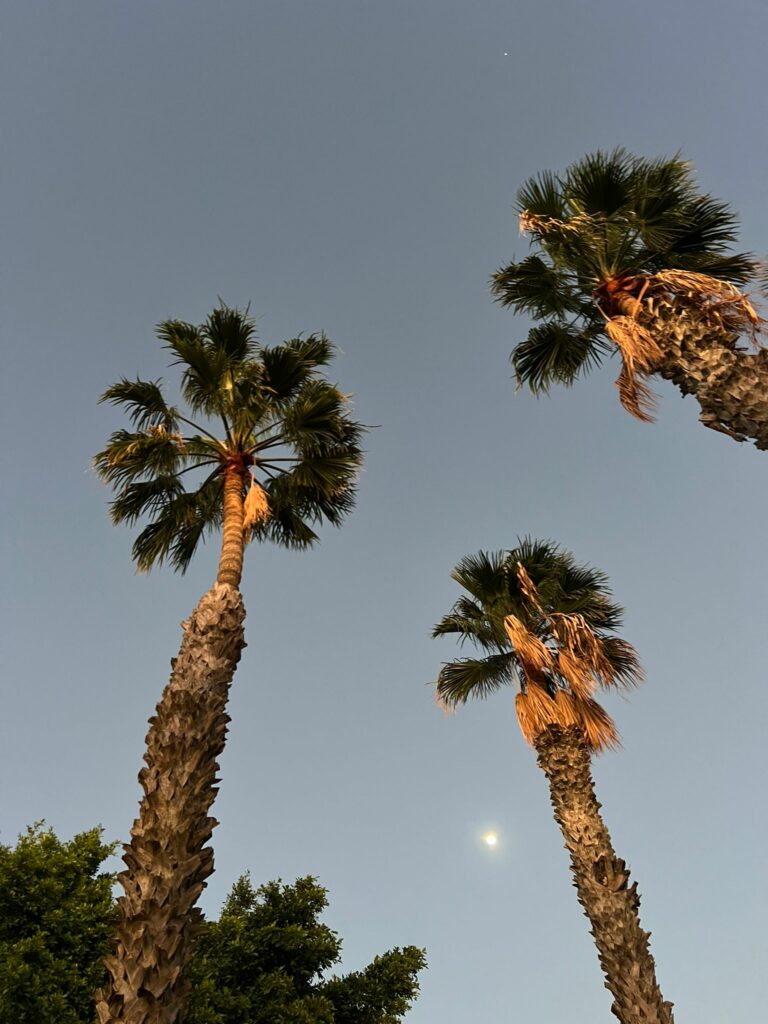 Foto galerija Tenerife magic. www.tenerifemagic.lv
