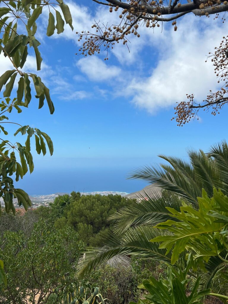 Foto galerija Tenerife magic. www.tenerifemagic.lv