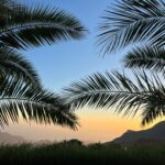 Foto galerija Tenerife magic. www.tenerifemagic.lv