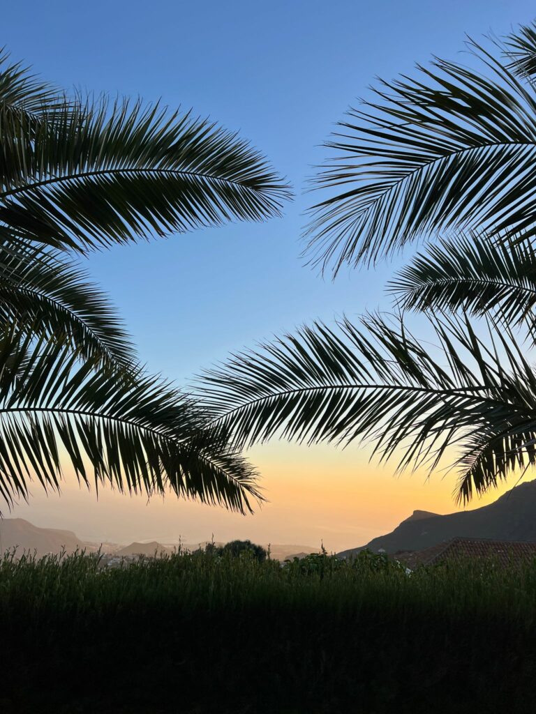 Foto galerija Tenerife magic. www.tenerifemagic.lv