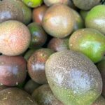 Foto galerija Tenerife magic. www.tenerifemagic.lv