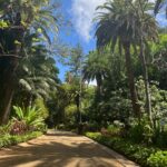 Foto galerija Tenerife magic. www.tenerifemagic.lv