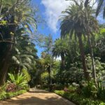 Foto galerija Tenerife magic. www.tenerifemagic.lv