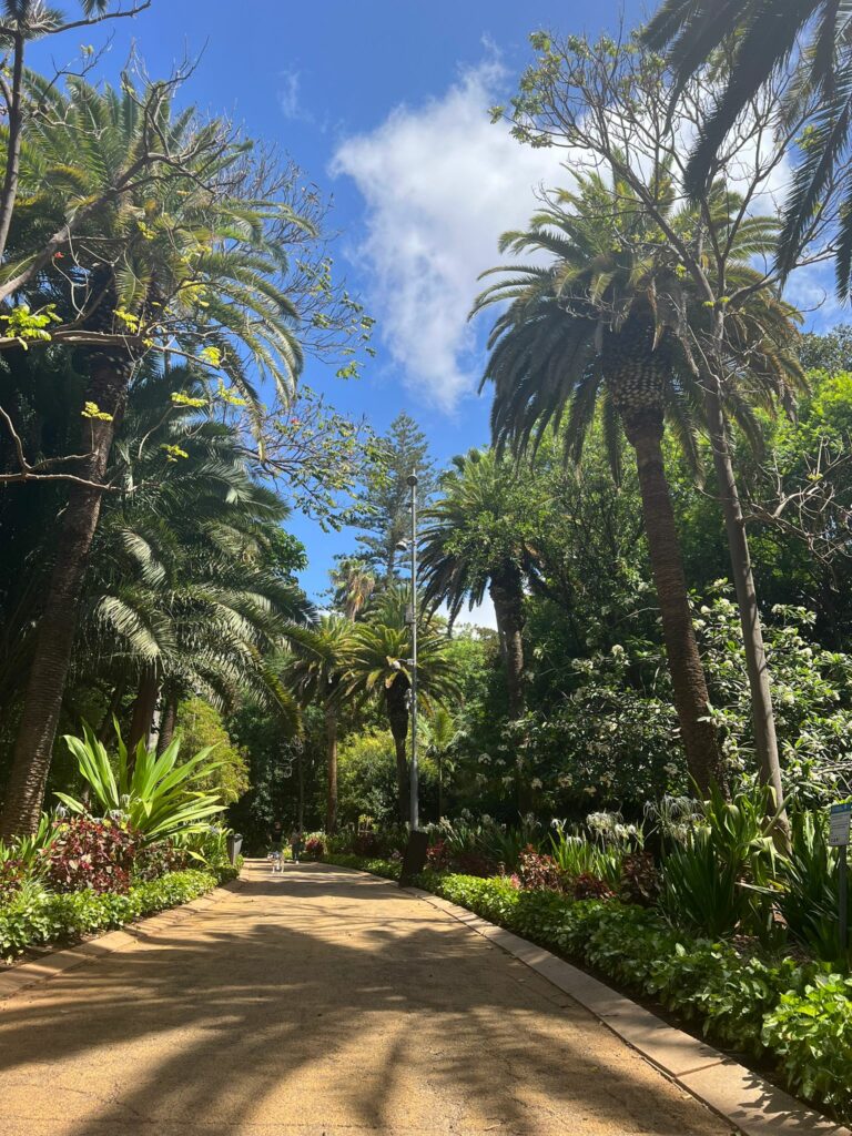 Foto galerija Tenerife magic. www.tenerifemagic.lv