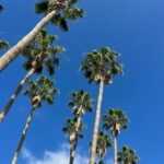 Foto galerija Tenerife magic. www.tenerifemagic.lv