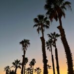 Foto galerija Tenerife magic. www.tenerifemagic.lv