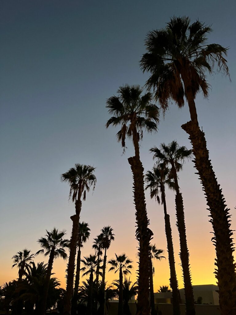 Foto galerija Tenerife magic. www.tenerifemagic.lv