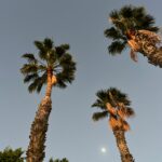 Foto galerija Tenerife magic. www.tenerifemagic.lv