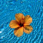 Foto galerija Tenerife magic. www.tenerifemagic.lv