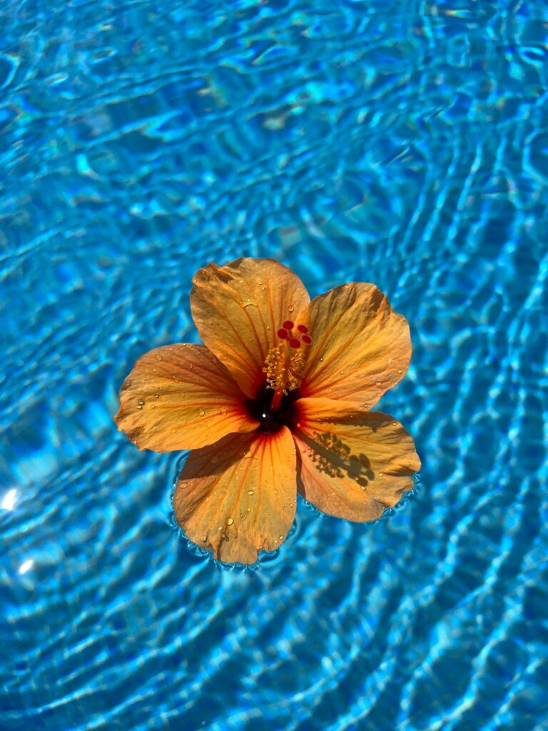 Foto galerija Tenerife magic. www.tenerifemagic.lv