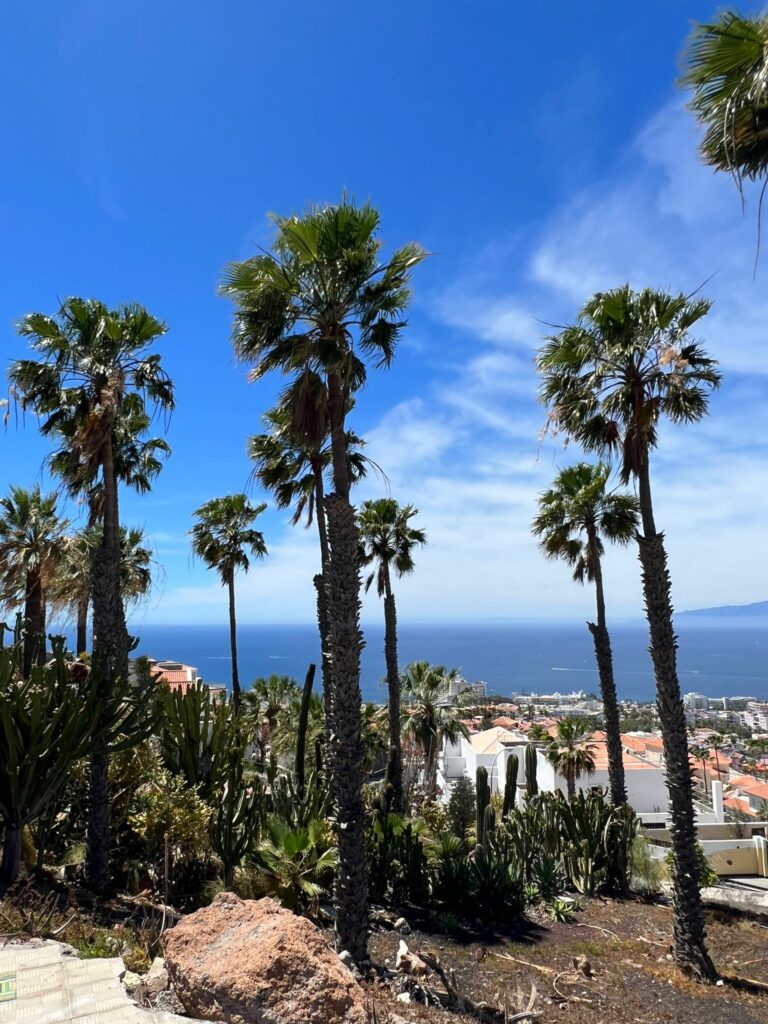 Foto galerija Tenerife magic. www.tenerifemagic.lv