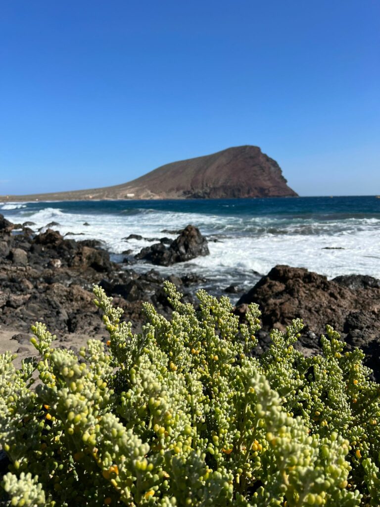 Foto galerija Tenerife magic. www.tenerifemagic.lv