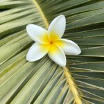 Foto galerija Tenerife magic. www.tenerifemagic.lv