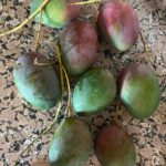 Foto galerija Tenerife magic. www.tenerifemagic.lv