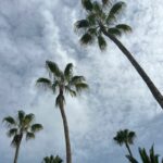 Foto galerija Tenerife magic. www.tenerifemagic.lv