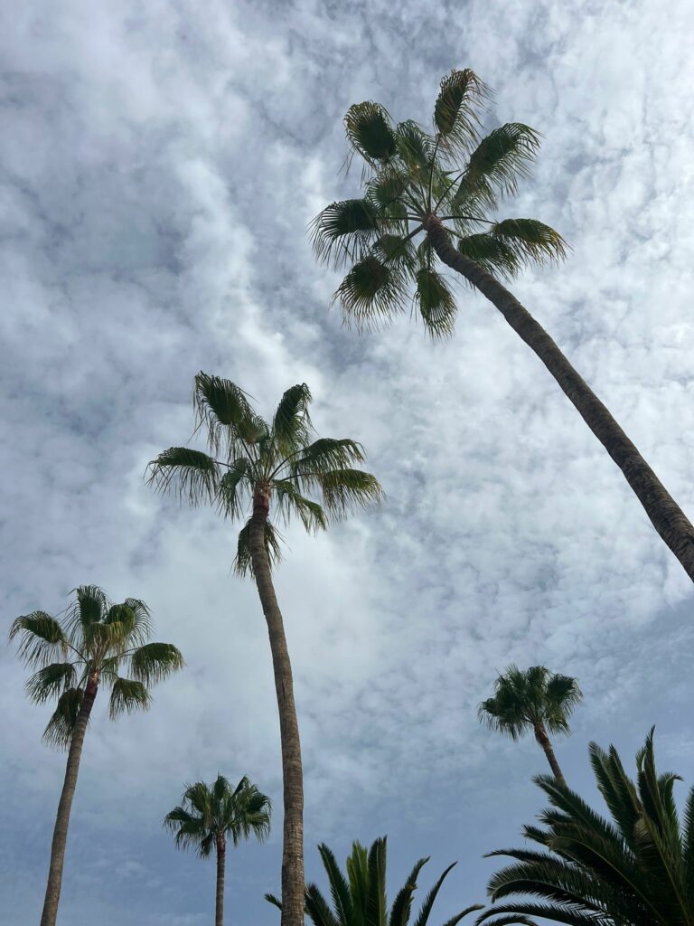 Foto galerija Tenerife magic. www.tenerifemagic.lv