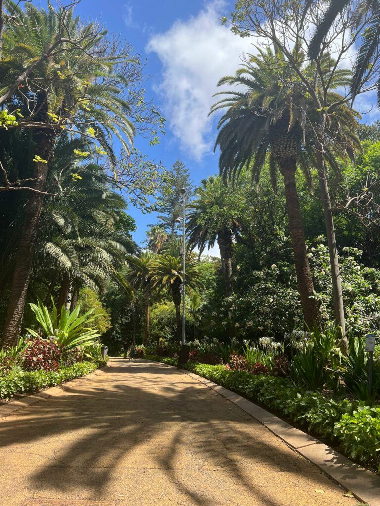 Foto galerija Tenerife magic. www.tenerifemagic.lv