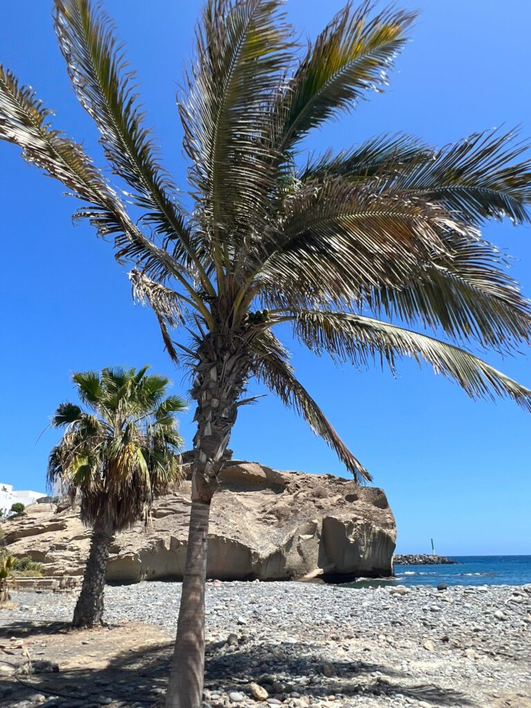 Foto galerija Tenerife magic. www.tenerifemagic.lv