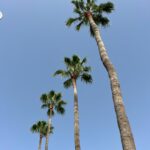 Foto galerija Tenerife magic. www.tenerifemagic.lv