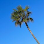 Foto galerija Tenerife magic. www.tenerifemagic.lv