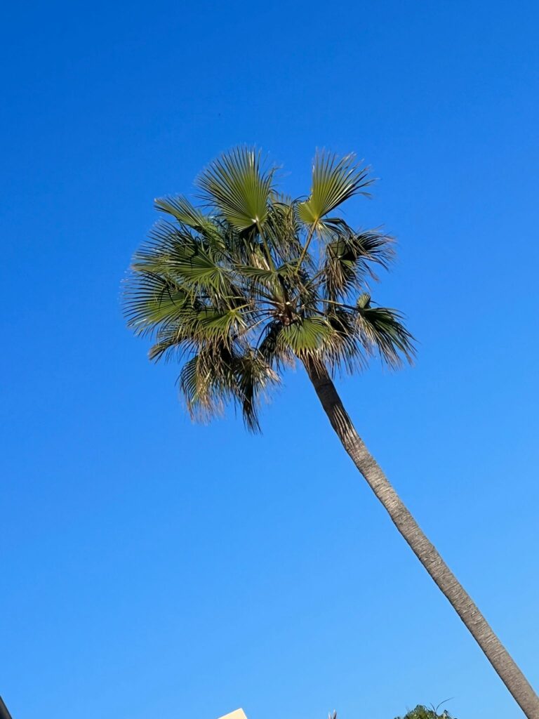 Foto galerija Tenerife magic. www.tenerifemagic.lv