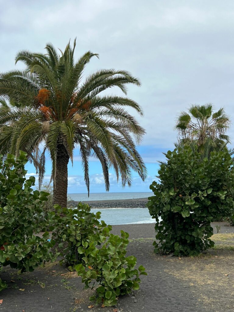 Foto galerija Tenerife magic. www.tenerifemagic.lv