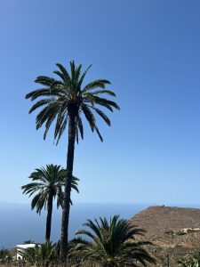 Foto galerija Tenerife magic. www.tenerifemagic.lv