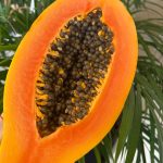 Foto galerija Tenerife magic. www.tenerifemagic.lv