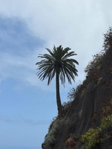 La Gomeru Foto galerija Tenerife magic. www.tenerifemagic.lv