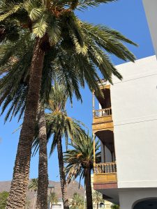 La Gomeru Foto galerija Tenerife magic. www.tenerifemagic.lv