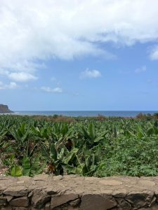 La Gomeru Foto galerija Tenerife magic. www.tenerifemagic.lv