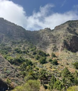 La Gomeru Foto galerija Tenerife magic. www.tenerifemagic.lv