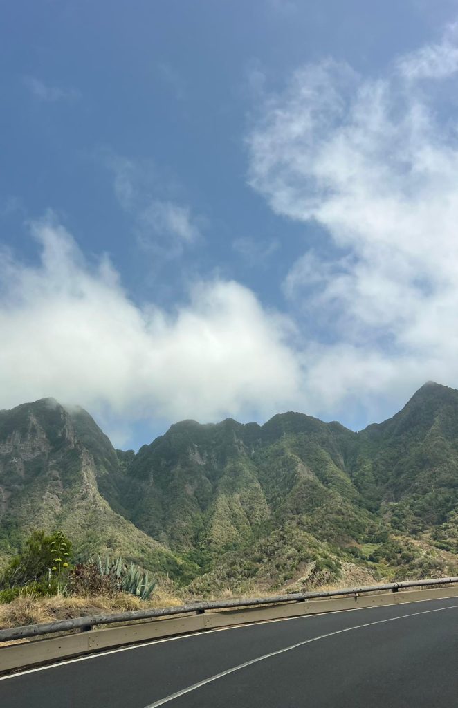 La Gomeru Foto galerija Tenerife magic. www.tenerifemagic.lv