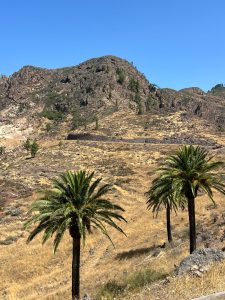 La Gomeru Foto galerija Tenerife magic. www.tenerifemagic.lv